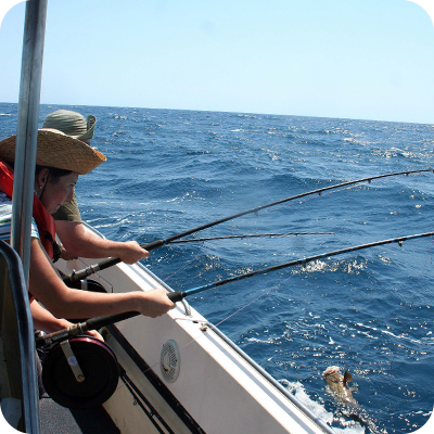 On board